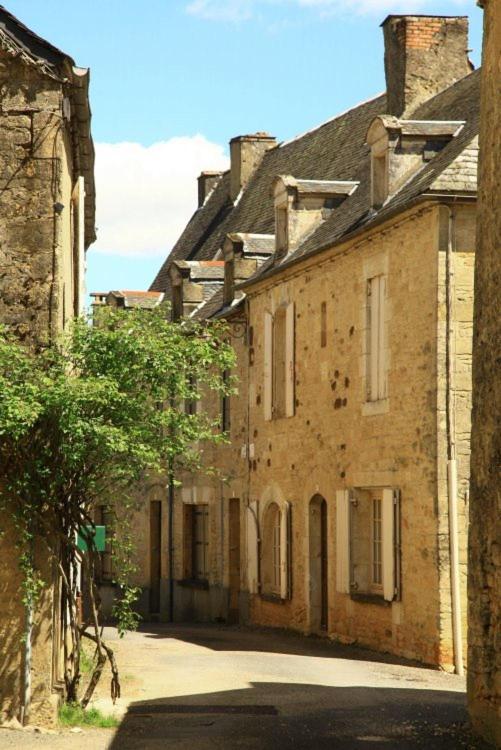 Petite Maison En Pierre Au Coeur Du Perigord Noir Salignac Eyvigues エクステリア 写真